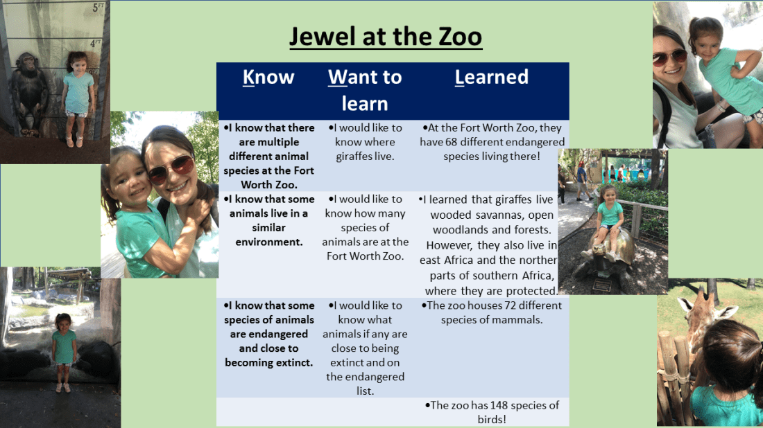 Jewel at the Zoo